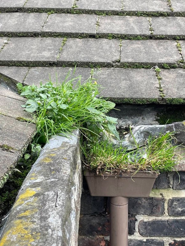Residential Gutter Cleaning in Liverpool.jpeg